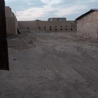 گاوداری
