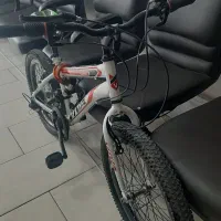 دوچرخه۲۰ ویوا