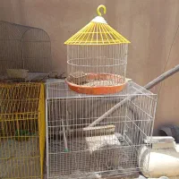 قفس پرنده