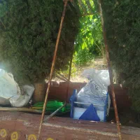 چهار پایه