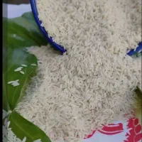 برنج درجه یک هاشمی کشت دوم