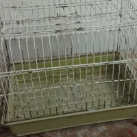 قفس پرنده