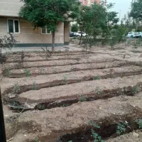 گل ودرخت|گل و گیاه طبیعی|قم, شهرک فاطمیه|دیوار