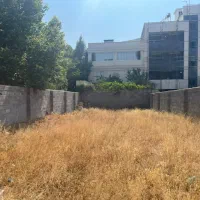 تهراندشت-زمین-300-متری-تاپ-لوکیشن