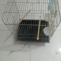 قفس استیل ضخیم با لوازم