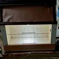 قفس چوبی کلبه ای  یا گالری عکس