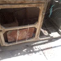 قفس پرنده بزرگ چهارچوب سالم