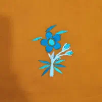 گل اطلس