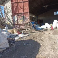 کارگر ساده