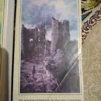 نورتون و ادبیات و رمان انگلیسی