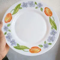سرویس آرکوپال