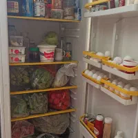 یخچال الکترو استیل‌فریزر پارس