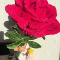 گل مخملی