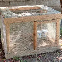 قفس پرنده