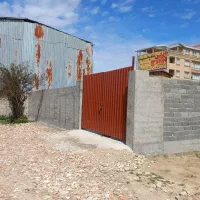 زمین دیوارکشی با نهال
