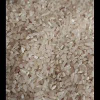 15کیلو خرده برنج شمیم کیلو 160