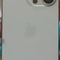 13pro
