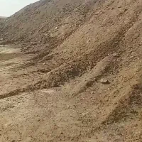 کود.کود پوسیده.کود سیاه.کود دامی گاوی و گوسفندی