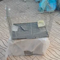 فروش۲عددقفس پرنده