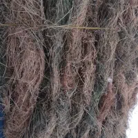 یونجه|عمده‌فروشی|چالدران, |دیوار