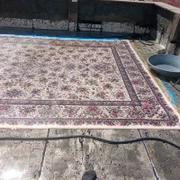 می شورم موکت و قالی و پالاز