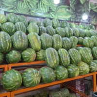 میوه فروش،کارگر،فروشنده،بارچین