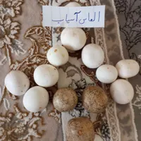 سنگ الماس اسیاب تعداد بالا