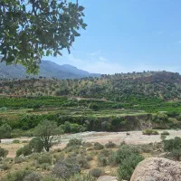 زمین مسکونی گورک کله بندی