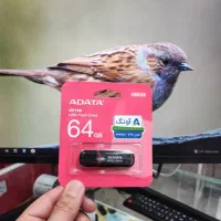 فلش مخصوص فایل عروسی
