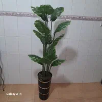 گلفروشی میلان