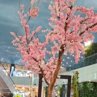 دعوت به همکاری فروشنده خانم
