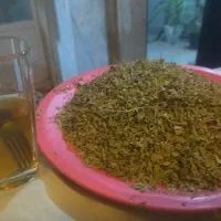فروش|گل و گیاه طبیعی|میبد, |دیوار