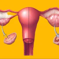 بانو جان حواست به رحمت باشه