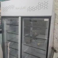 یخچال و فریزر صنعتی
