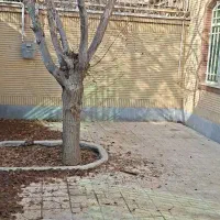 رهن-و-اجاره-خانه-ویلایی-شاهین-شهر