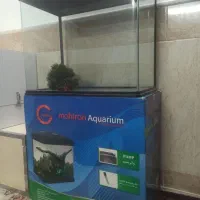 آکواریوم ماهیران ma25