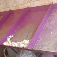 قفسه میوه فروشی