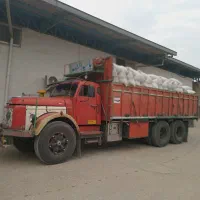 ولوو سوسماری جفت