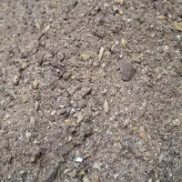 خوراک پرواری و یونجه کوبیده