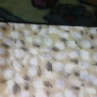 چادر