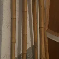 چوب بامبو