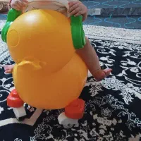 چرخ جوجه ای