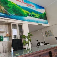 اسکلت-سقف-خورده-کرونی