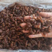 کشمش ابگیری
