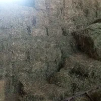 یونجه‌انباری