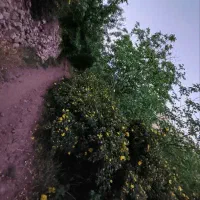 فروش باغ در غرق آباد