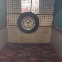موتور سه چرخ