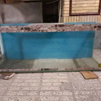 اکواریوم