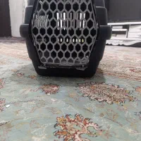 باکس سگ وگربه