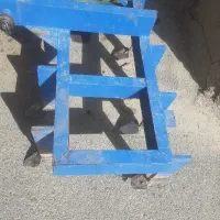تخم کار سالم نو